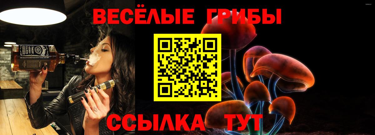 Галлюциногенные грибы Psilocybe Нарткала